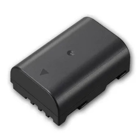 Panasonic DMW-BLF19E Battery