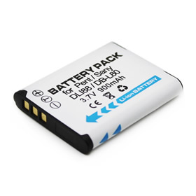 Sanyo DB-L80AU Battery