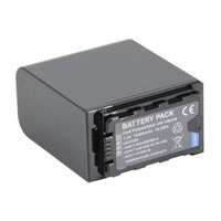 Panasonic Lumix DC-BGH1 camcorder battery