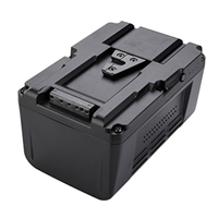 Sony BP-300W camcorder battery