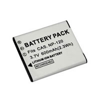 Casio EXILIM EX-S200BE digital camera battery