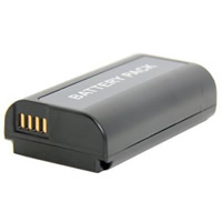 Panasonic Lumix S1 digital camera battery